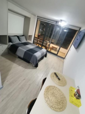 Apartasuite Carol Urzúa